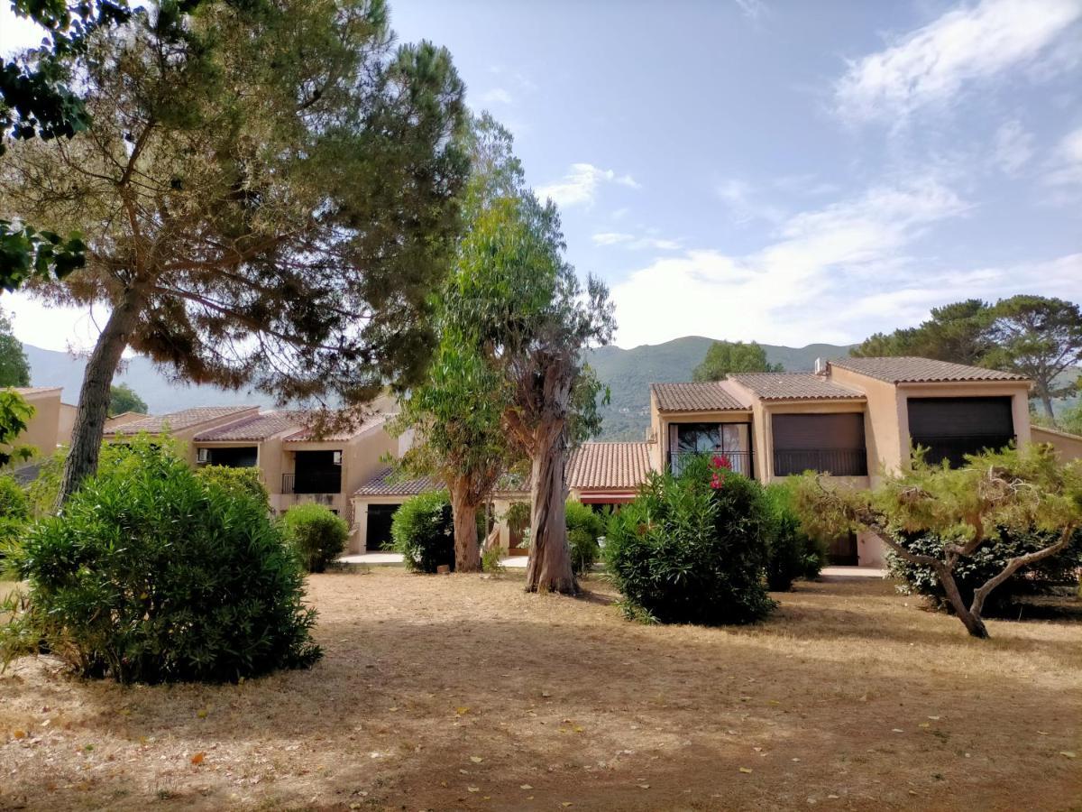Studio Pieds Dans L'Eau Calcatoggio (Corsica) Exterior foto