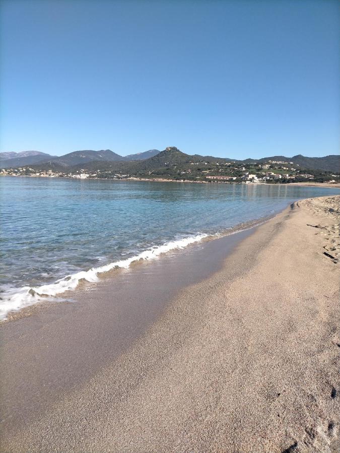 Studio Pieds Dans L'Eau Calcatoggio (Corsica) Exterior foto